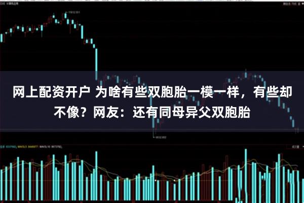 网上配资开户 为啥有些双胞胎一模一样，有些却不像？网友：还有同母异父双胞胎